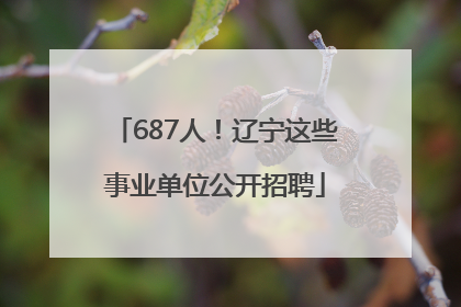 687人！辽宁这些事业单位公开招聘