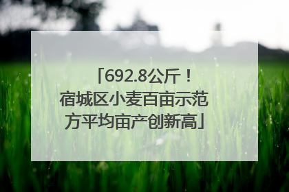 692.8公斤！宿城区小麦百亩示范方平均亩产创新高