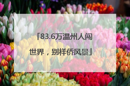 83.6万温州人闯世界，别样侨风景