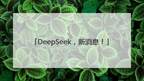 DeepSeek，新消息！